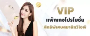 แพ็กเกจพิเศษ VIP